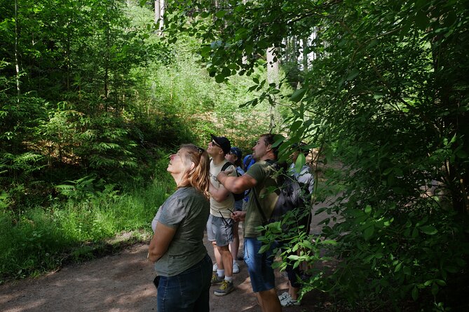 3 in 1 Tour Brewery & Castle in Bohemian Paradise Unesco Geopark - Lunch and medieval views at Hrubá Skála Castle