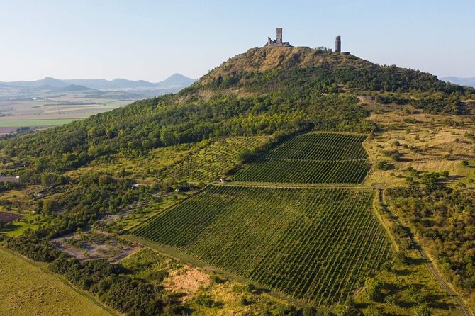 A delightful wine tasting in the scenic countryside with lunch - Extinct volcanoes and wide rural views