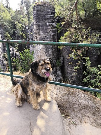 Bohemian Paradise (Český ráj) UNESCO geopark nature walks - Is this suitable for children and mixed abilities?
