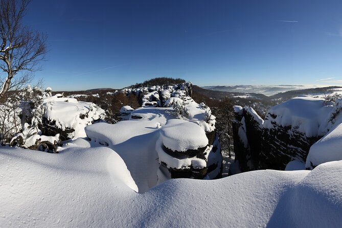 Bohemian Switzerland From Prague with Brewery Tour & Beer Tasting - How hard is the walking really?