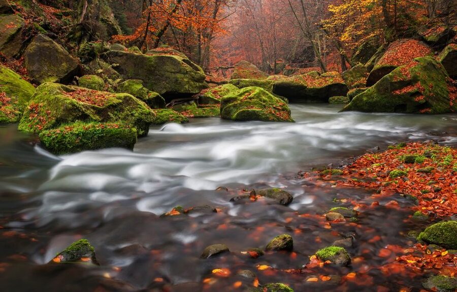 Bohemian Switzerland: Private Day Trip from Prague - Leaving Prague for Bohemian Switzerland