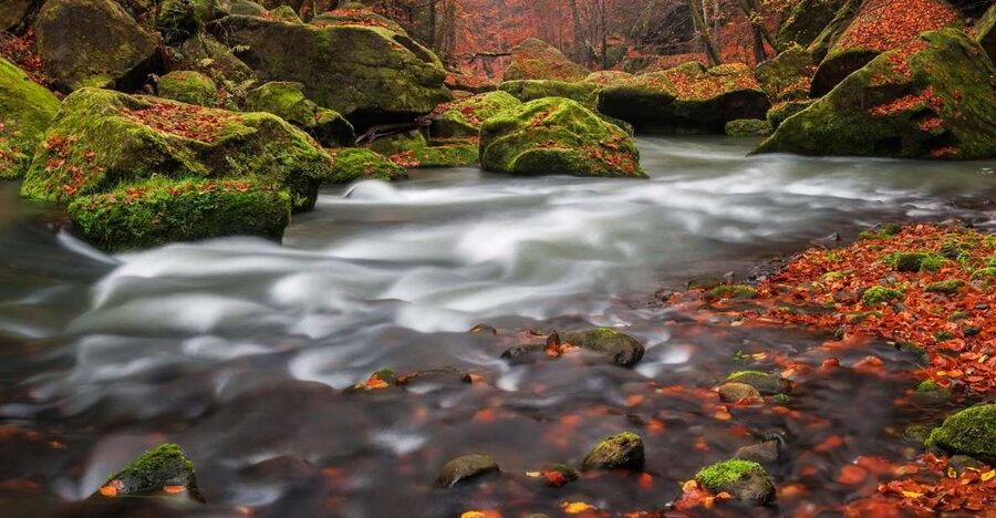 Bohemian Switzerland: Private Day Trip from Prague - How the private format changes the day