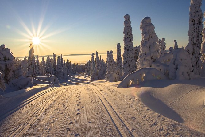 Cross-Country Skiing Guided Tour From Prague - Leaving Prague early for the Jizera Mountains