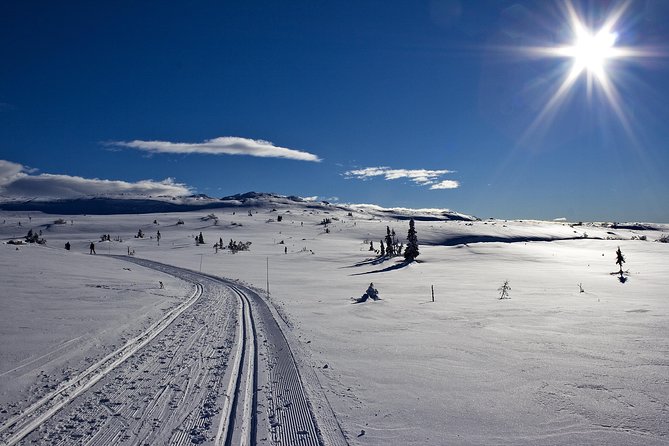 Cross-Country Skiing Guided Tour From Prague - Five hours among forests, trails, and a mountain lake
