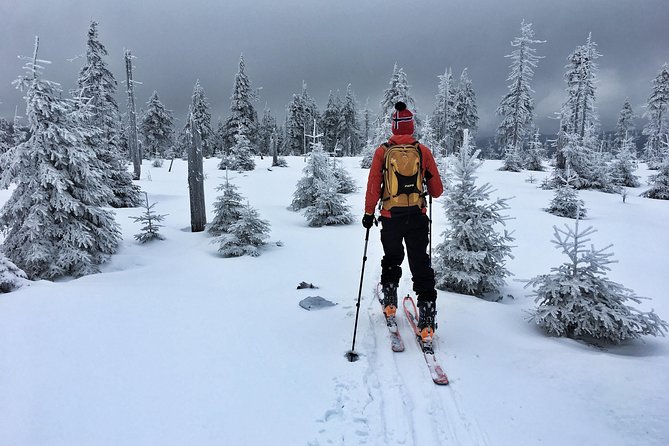 Cross-Country Skiing Guided Tour From Prague - What the $313 price really covers