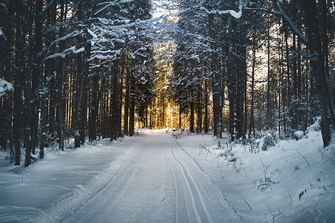 Cross-Country Skiing Guided Tour From Prague - Who will enjoy this day most