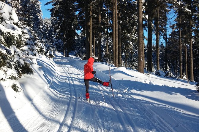 Cross-Country Skiing Guided Tour From Prague - Getting fitted with skis and learning the basics