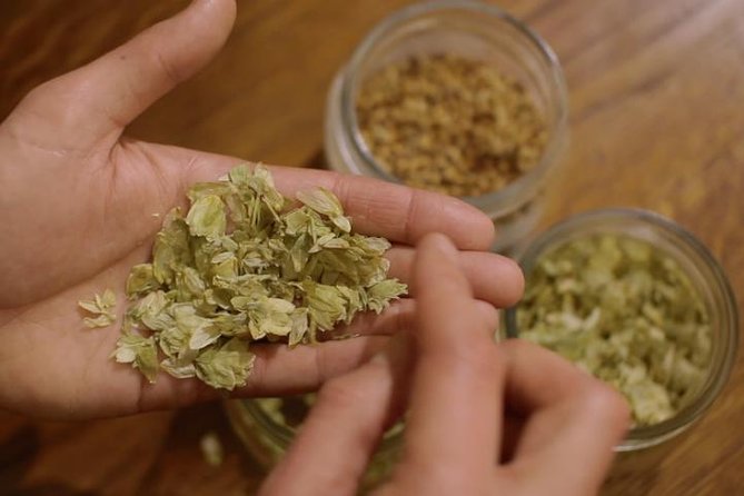Czech Beer Tasting Experience - Seven Czech beers, one useful introduction