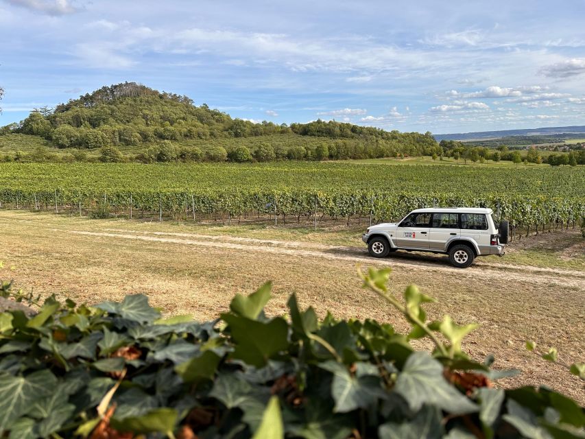 Czech Vineyards and Wine Tasting 4WD Tour with Lunch - Should you book the Třebívlice wine tour?