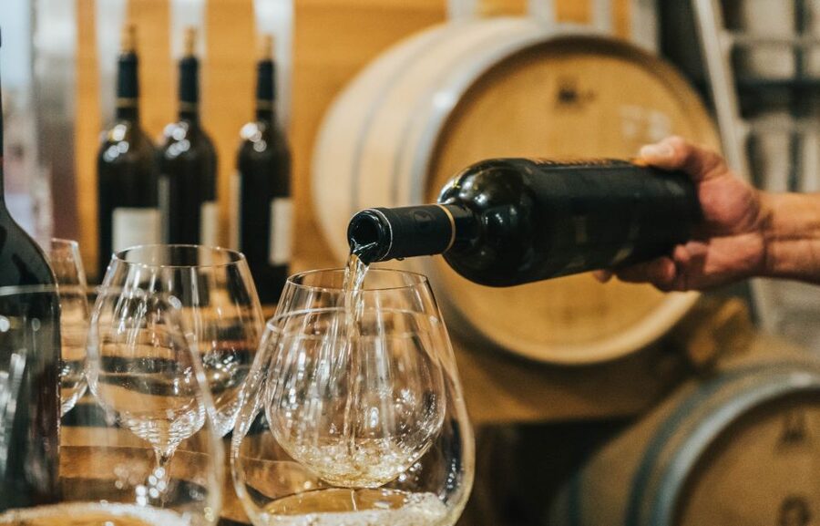 Czech Vineyards and Wine Tasting 4WD Tour with Lunch - What the small group and 4x4 setup mean