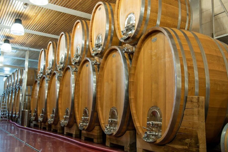 Czech Vineyards and Wine Tasting 4WD Tour with Lunch - Who will enjoy this day most