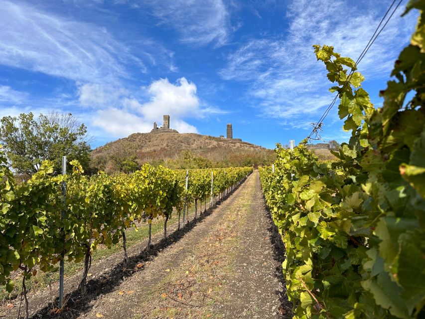 Czech Vineyards and Wine Tasting 4WD Tour with Lunch - Booking details worth knowing