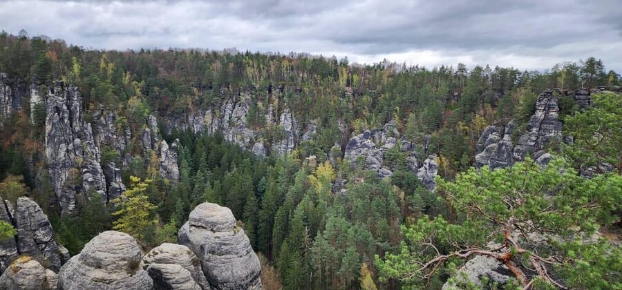 Day trip from Prague to Bohemian and Saxon Switzerland - How demanding is the day?