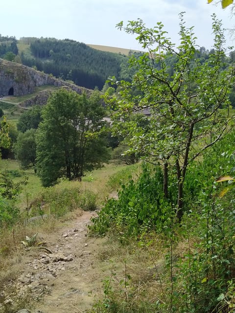 Discover Moravian Karst: Seven Stops, One Tailored Tour - Churches that add quiet to the day