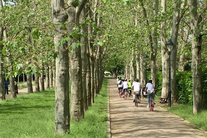 FAT TIRE E-BIKE GREAT TOUR - river, parks & panoramic views tour - Key points to know before you book
