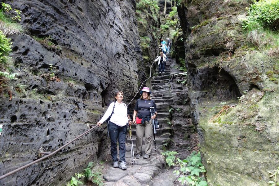 From Prague: Bohemian & Saxon Switzerland All Inclusive Tour - Guides, van time, and the small-group feel
