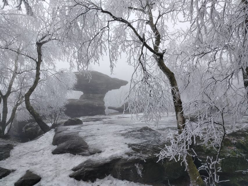 From Prague: Bohemian & Saxon Switzerland Iconic Day Trip - Pravčická Gate and the Czech sandstone country