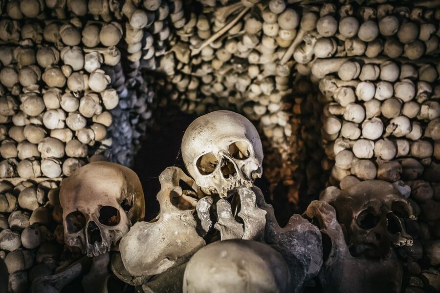 From Prague: Kutna Hora and Bone Chapel Tour - Walking, Pace, and Transport Choices