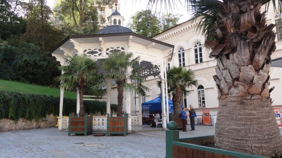 From Prague: Private Karlovy Vary & Crystal Factory Tour - Taking a swim at the Thermal hotel