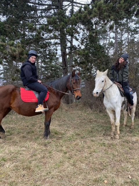 Horseback riding tour near Prague - Lake swimming in hot weather