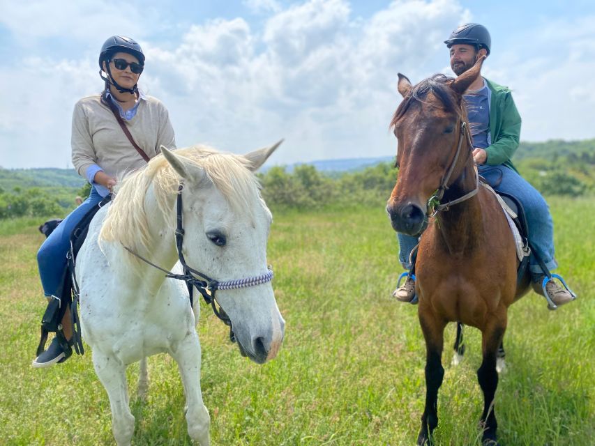 Horseback riding tour near Prague - Getting there from central Prague