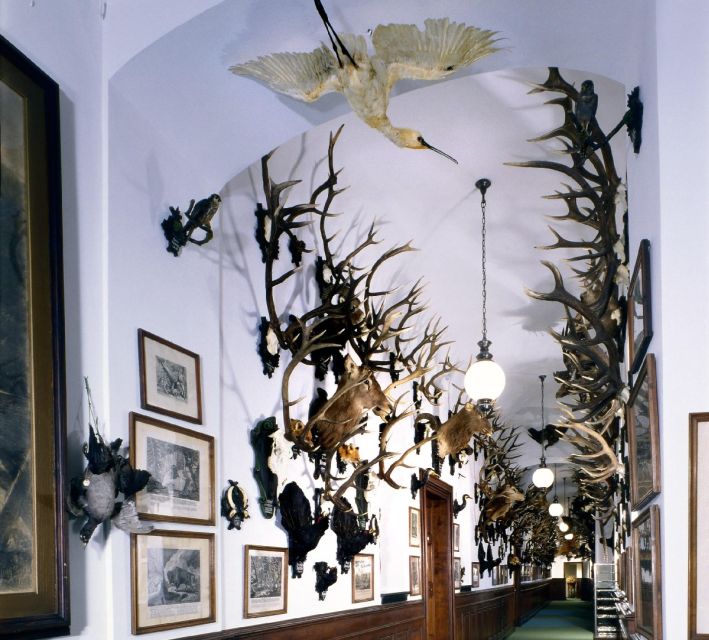 Konopiště: Chateau Tour from Prague - The important language issue