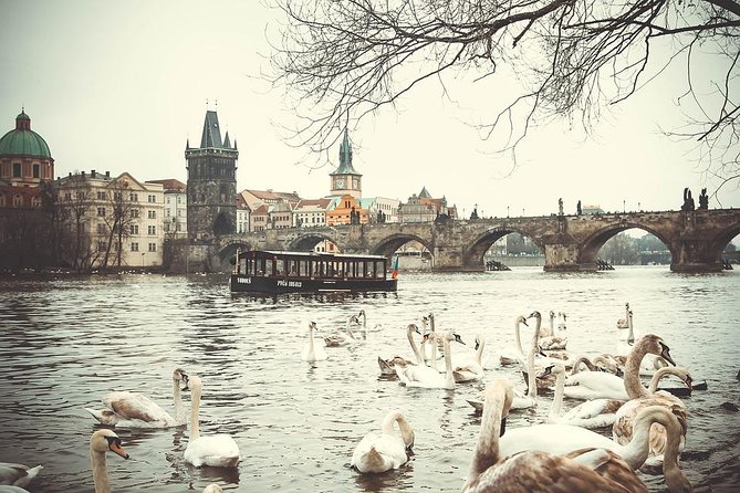 Magical Prague Private Half-Day Tour - A Fast, Personal Introduction to Prague
