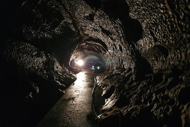 Moravian Carst And Brno Private Tour From Prague - How the private format changes the experience