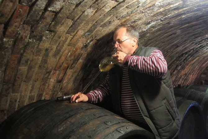 Moravian wine trails - Why Lednice and Valtice make such a good pairing