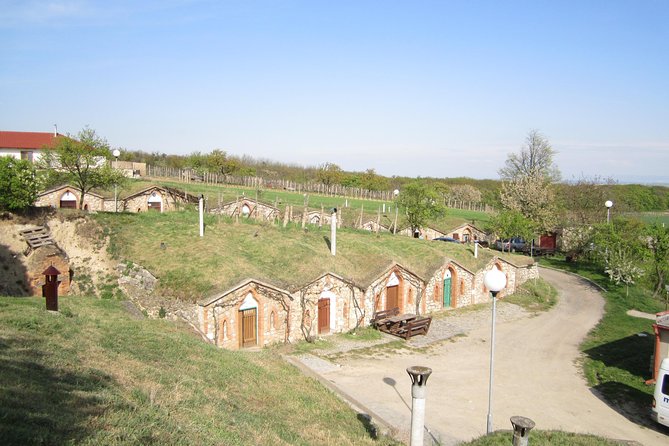 Moravian wine trails - Valtice: older cellars and a stronger wine focus