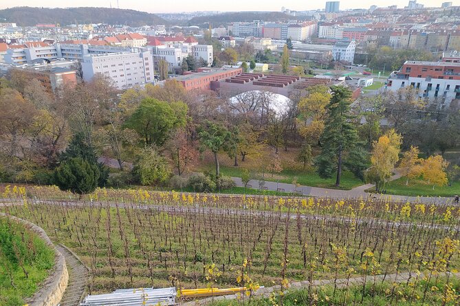 Non-touristy Prague - Cozy Neighborhoods - Private Tour - Grébovka and Prague’s park-to-park rhythm