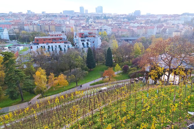 Non-touristy Prague - Cozy Neighborhoods - Private Tour - Public transport, walking, and the real cost
