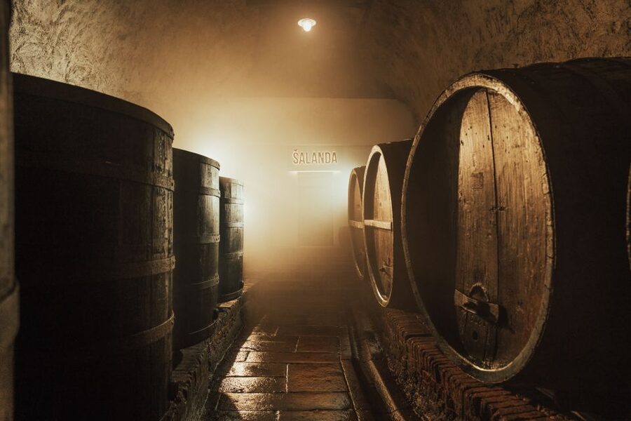 Pilsen: Pilsner Urquell Brewery Tour with Beer Tasting - Who will enjoy this tour most?