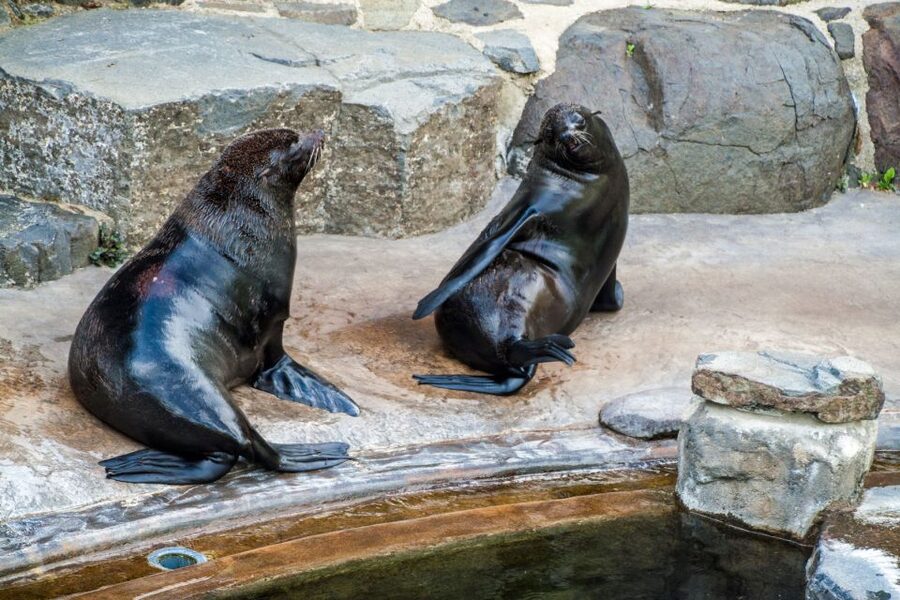 Prague: Boat Ride to the Zoo and Admission Ticket - Key points at a glance