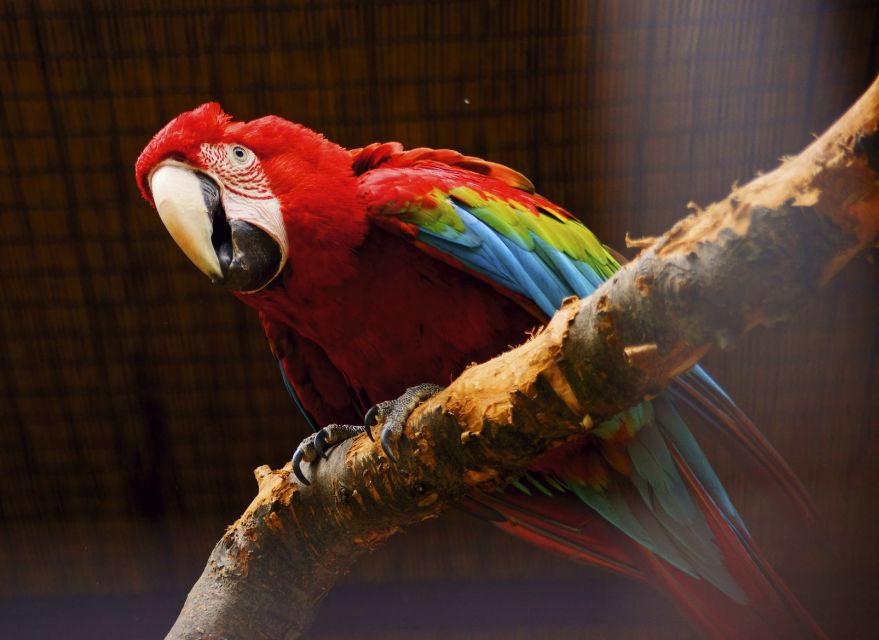 Prague: Boat Ride to the Zoo and Admission Ticket - Seven hours, and how to use them well