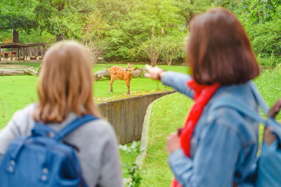 Prague: Boat Ride to the Zoo and Admission Ticket - Guides who shape the day
