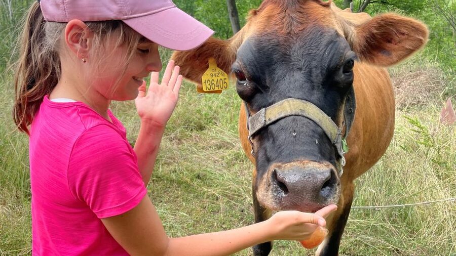 Prague: Bohemian Uplands Garnet Panning&Animal Farm 4WD Tour - Farm animals and homemade cheese