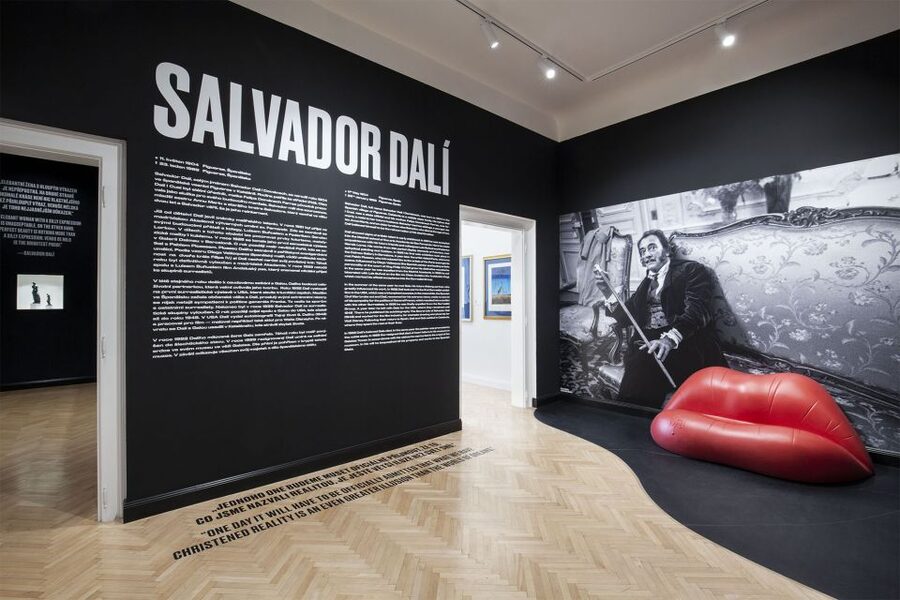 Prague: Central Gallery Ticket with Two Exhibitions - The Salvador Dalí exhibition