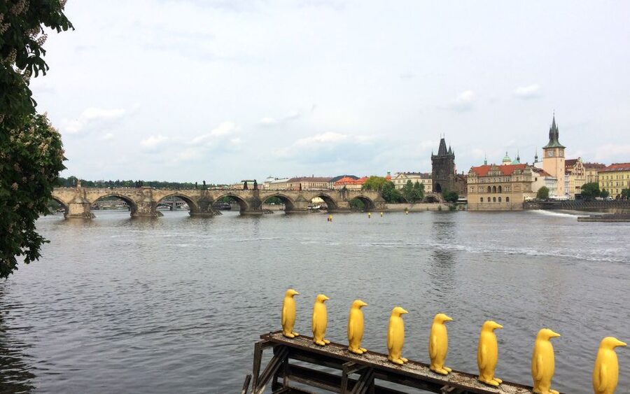 Prague: Classic City Bike Tour - Starting near Old Town Square