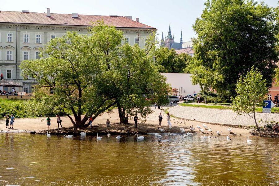 Prague Cruise: 1-Hour on the River Vltava - Who will enjoy this cruise most?