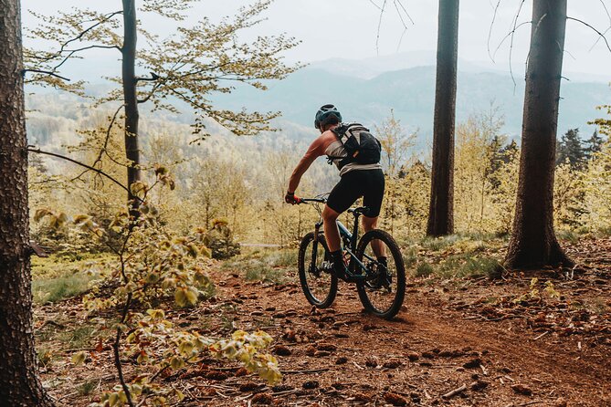 Prague E-Mountain Biking Adventure In The Bohemian Paradise - Valdstejn Castle and lunch with a view