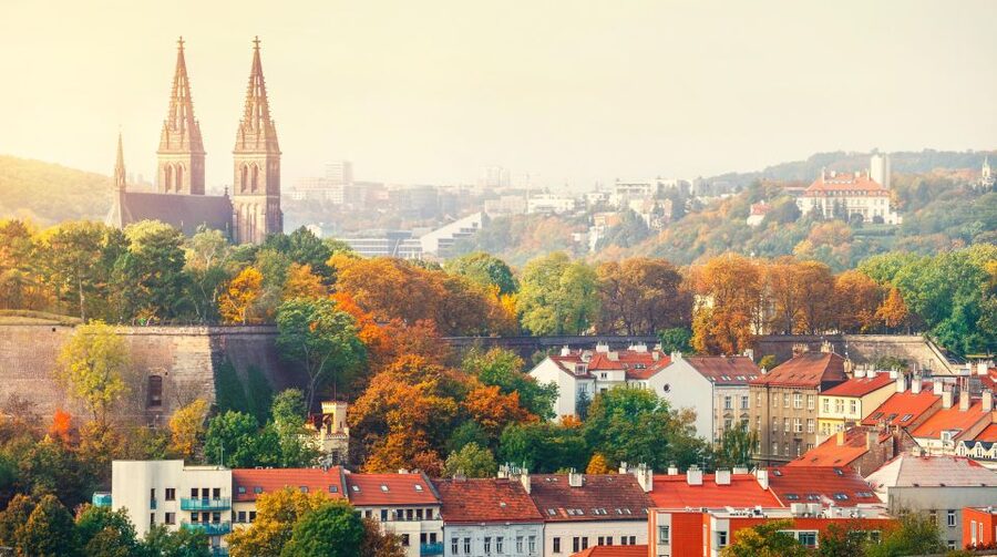 Prague: Guided tour to the historic fortress of Vyšehrad - The cemetery and Czech musical life