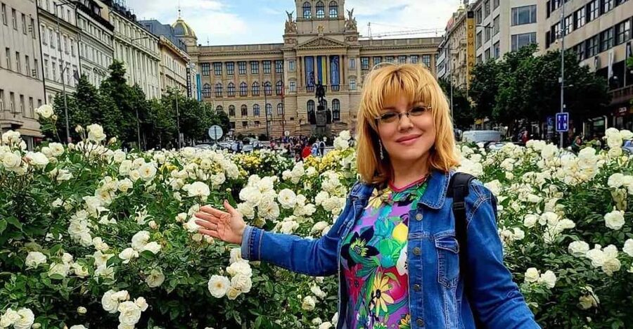 Prague: Highlights of Prague Private Half-Day Tour by Car - A practical first look at Prague in three and a half hours