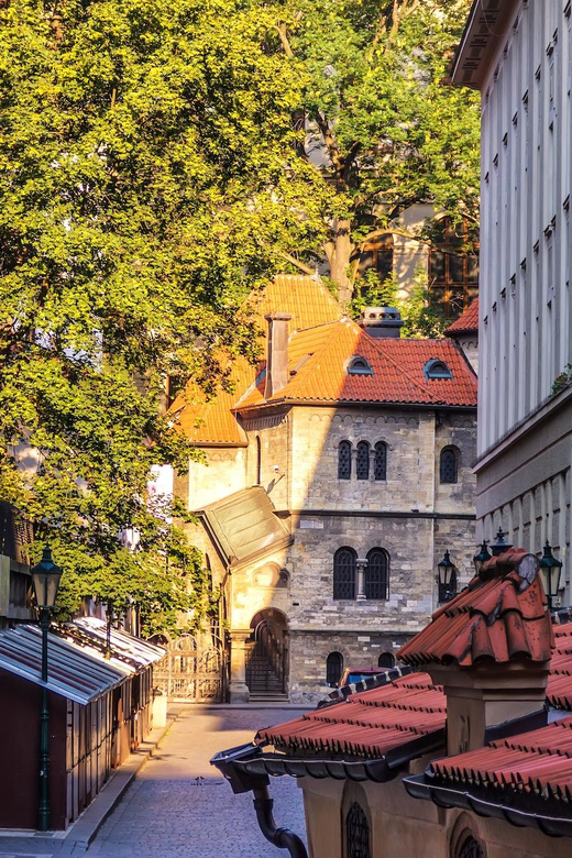Prague: Jewish Quarter Half-Day Private Walking Tour - Old-New Synagogue: medieval Prague in living form
