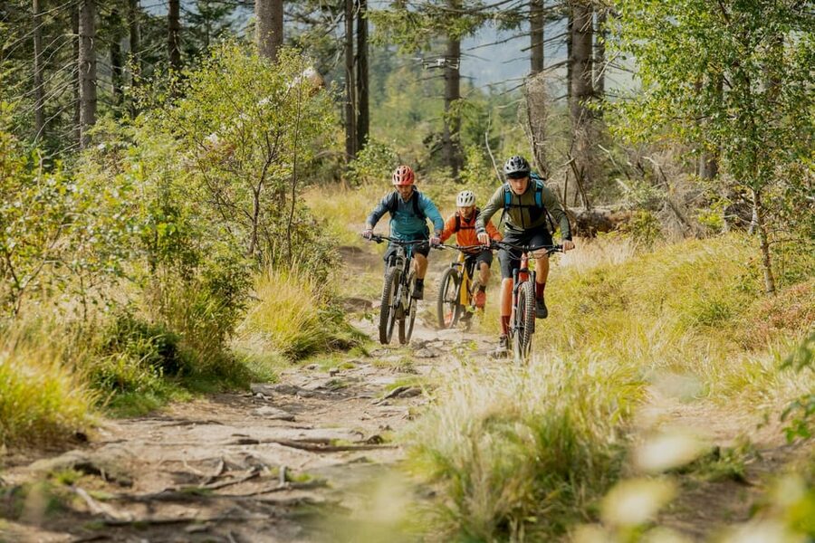 Prague Mountain Biking: Blast Through The Best Singletracks - A Private Tour That Works for Families