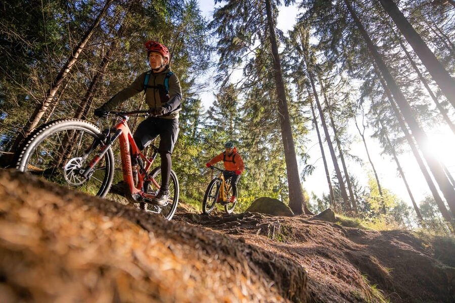 Prague Mountain Biking: Blast Through The Best Singletracks - Who Should Book This Ride