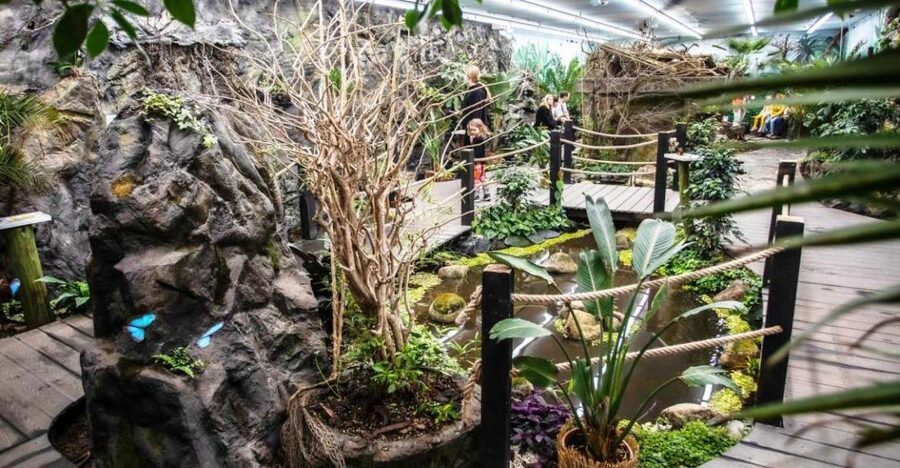 Prague: Papilonia Butterfly House - What the tropical flight zone feels like