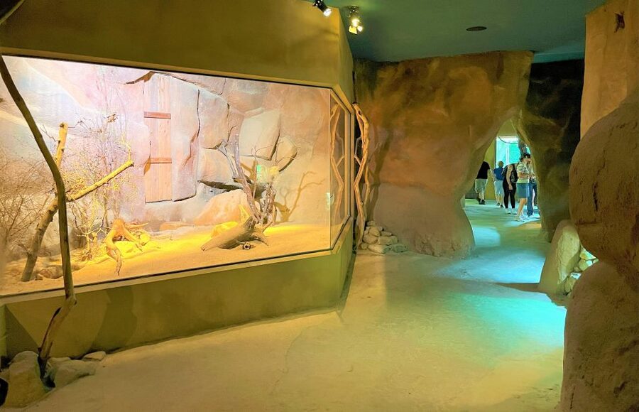 Prague: Prague Zoo Audio Guide with E-Ticket - Key points to know before you book