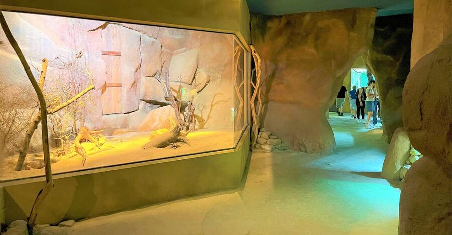 Prague: Prague Zoo Audio Guide with E-Ticket - What the audio guide adds to the zoo