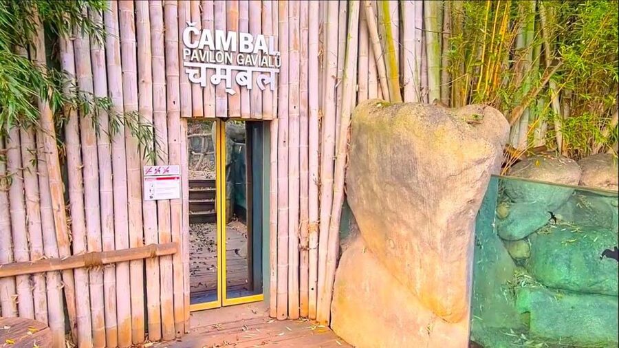 Prague: Prague Zoo Audio Guide with E-Ticket - Animals, pavilions, and the quality of the visit